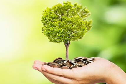 Eine Hand, die Münzen hält, woraus ein Baum wächst. Die Illustration symbolisiert das Impact Investing.