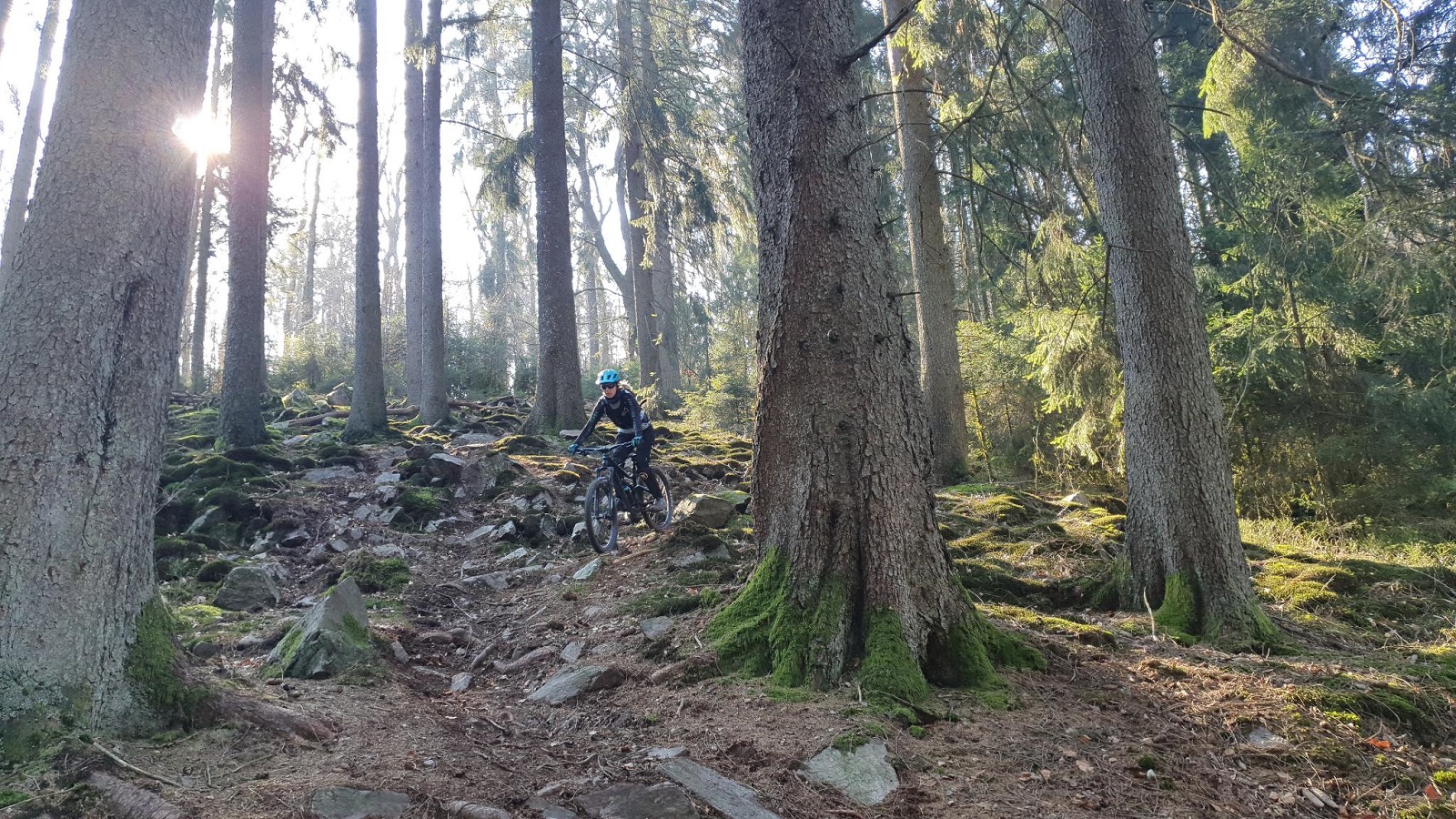 Mountainbike im Saarland (Weiskirchen)