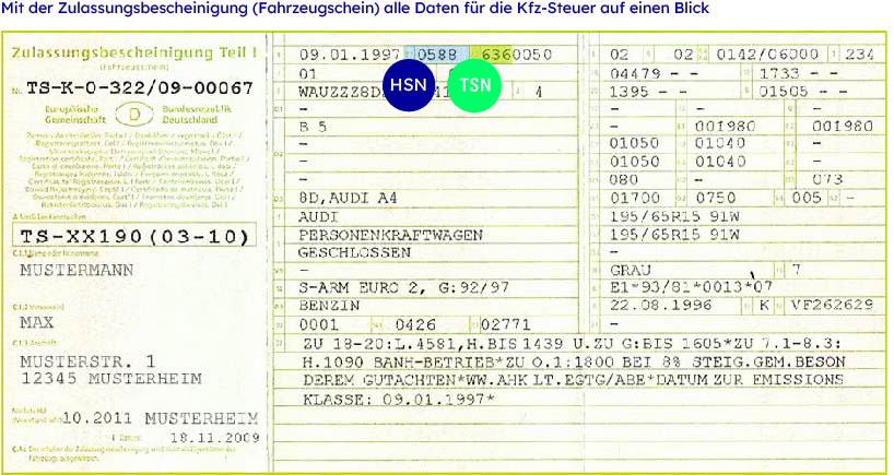 Muster eines Kfz-Fahrzeugscheins