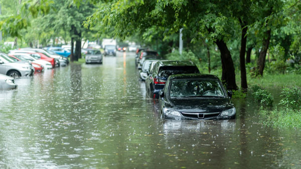 Schimmel in einem Zimmer, dessen Beseitigung nach einem Hochwasser von der Versicherung bezahlt wird.