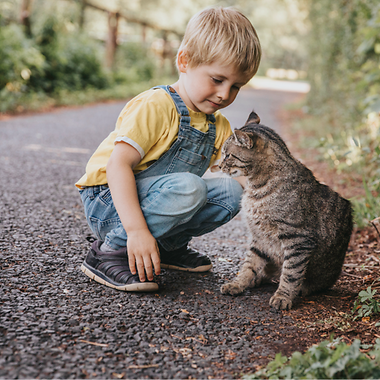 Kleiner Junge freundet sich mit einer Katze an