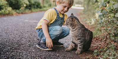 Kleiner Junge freundet sich mit einer Katze an