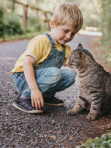 Kleiner Junge freundet sich mit einer Katze an