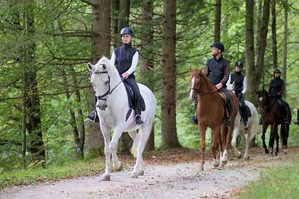 Menschen, die auf unbefestigten Straßen im Wald reiten.