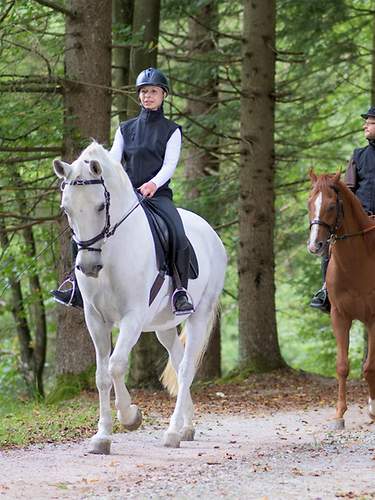 Menschen, die auf unbefestigten Straßen im Wald reiten.