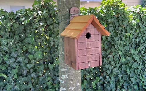 Ein Vogelhaus am Baum