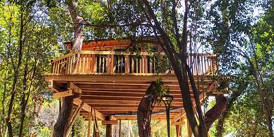 Baumhaushotel