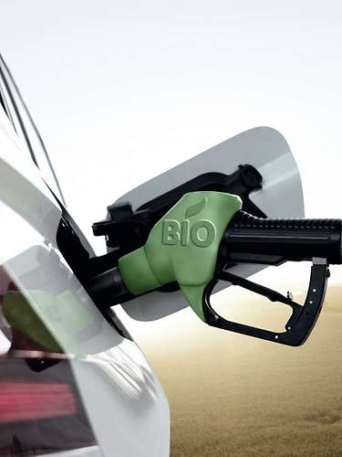 Es ist ein Zapfhahn zu sehen, auf dem Biodiesel steht.