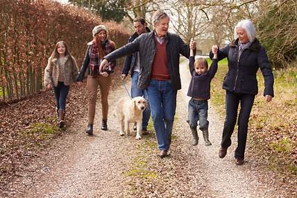 Drei Generationen einer Familie gehen zusammen mit dem Hund im Wald spazieren.