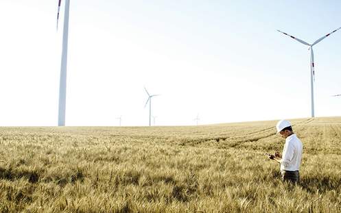 Eine Hand, die Münzen hält, woraus ein Baum wächst. Die Illustration symbolisiert das Impact Investing.