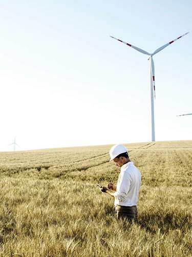 Eine Hand, die Münzen hält, woraus ein Baum wächst. Die Illustration symbolisiert das Impact Investing.