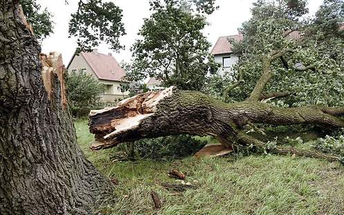 Schnell den richtigen Schadenfall melden