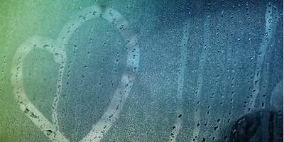 Auto Anmeldung - Ratgeber Kfz-Versicherung - Header