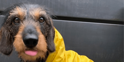 Herbstfest mit Kalle & Kira