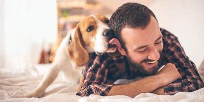 Tierhalterhaftpflicht für Hunde und Katzen - CosmosDirekt