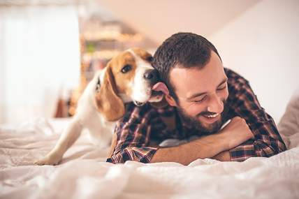 Tierhalterhaftpflicht für Hunde und Katzen - CosmosDirekt