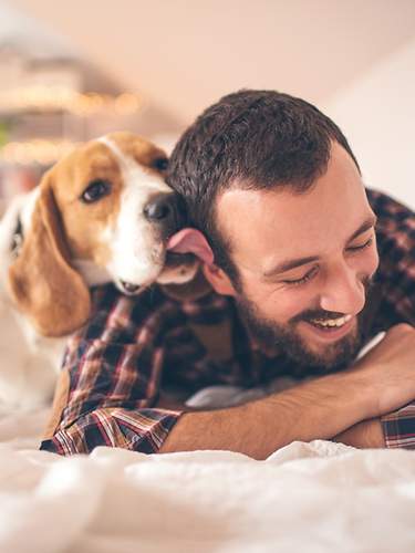 Tierhalterhaftpflicht für Hunde und Katzen - CosmosDirekt