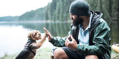 Hundehaftpflichtversicherung