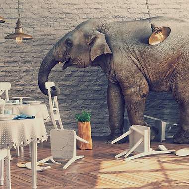 Eine Elefant in einem Zimmer zerstört Stühle und Tische