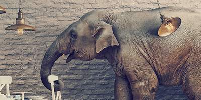 Eine Elefant in einem Zimmer zerstört Stühle und Tische