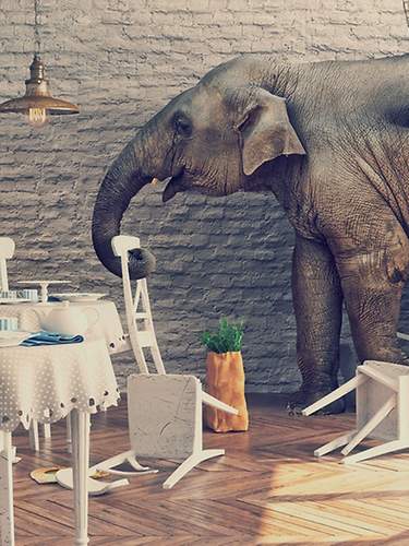 Eine Elefant in einem Zimmer zerstört Stühle und Tische