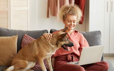 Krankenversicherung -Wie für Herrchen auch