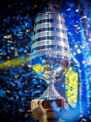 Pokal